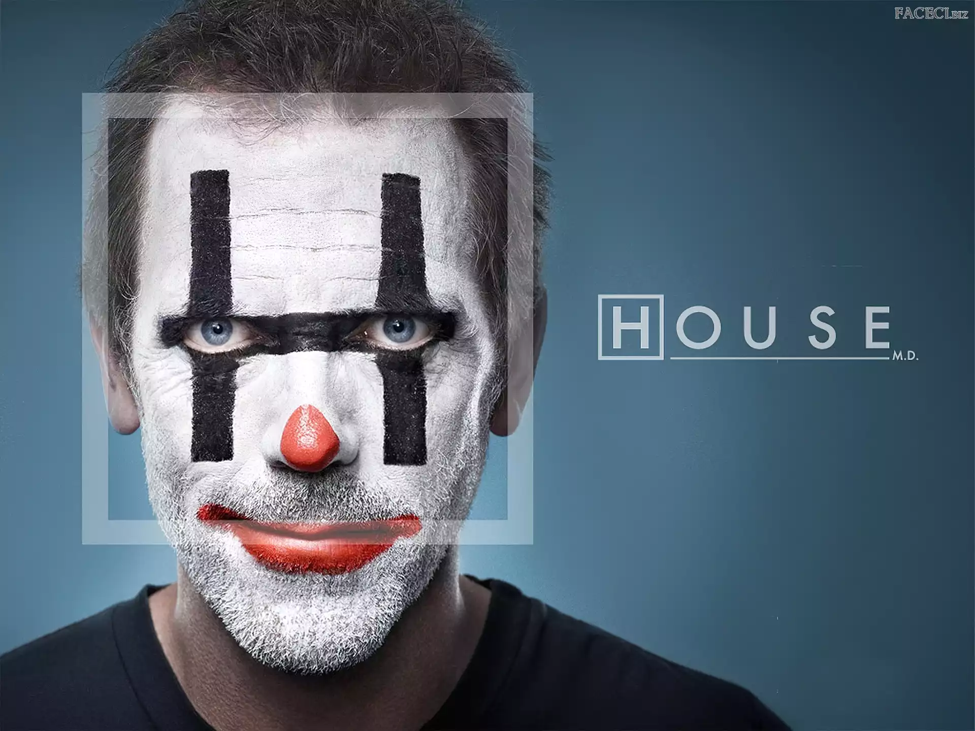 Hugh Laurie, Dr House, Charakteryzacja